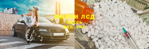 прущие грибы Беломорск