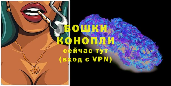 PSILOCYBIN Белоозёрский