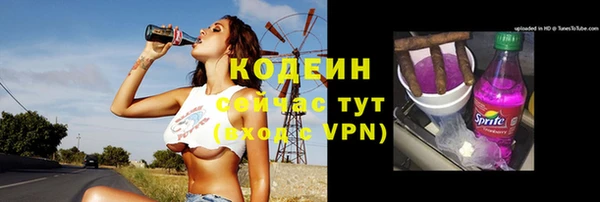 прущие грибы Беломорск
