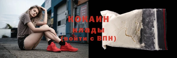 прущие грибы Беломорск