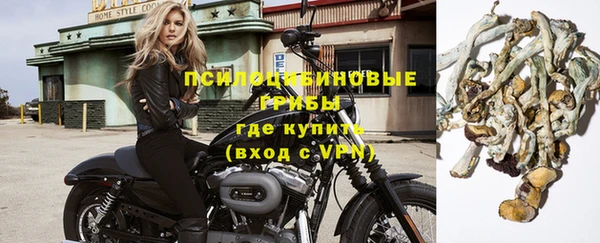 COCAINE Белокуриха