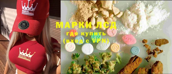 прущие грибы Беломорск
