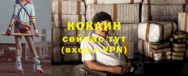 прущие грибы Беломорск