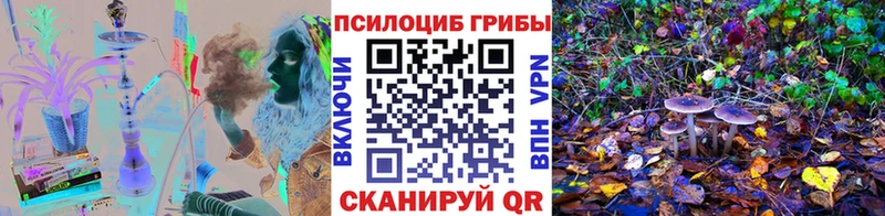 Псилоцибиновые грибы Psilocybine cubensis  Калининец 